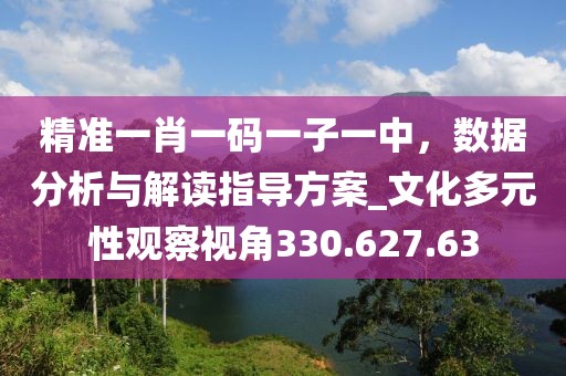 精准一肖一码一子一中，数据分析与解读指导方案_文化多元性观察视角330.627.63