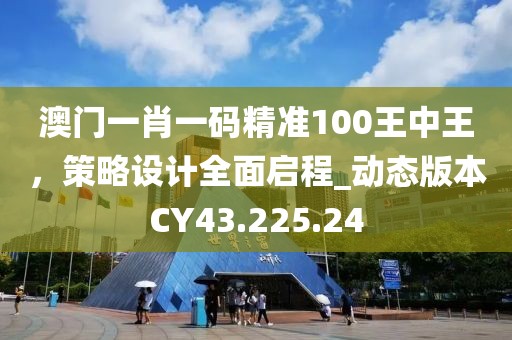 澳门一肖一码精准100王中王，策略设计全面启程_动态版本CY43.225.24