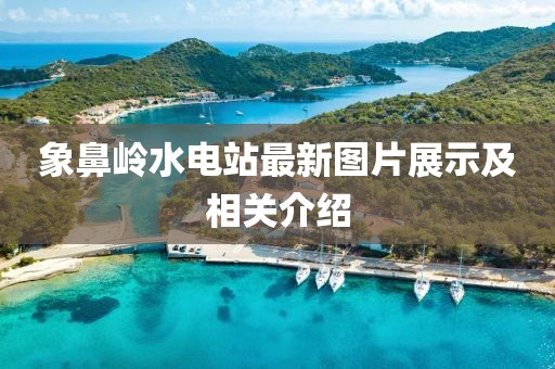 象鼻岭水电站最新图片展示及相关介绍