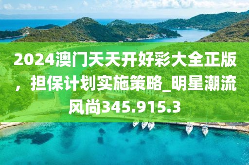 2024澳门天天开好彩大全正版，担保计划实施策略_明星潮流风尚345.915.3