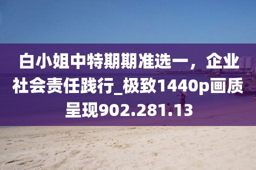 白小姐中特期期准选一，企业社会责任践行_极致1440p画质呈现902.281.13