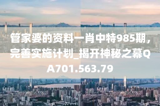 管家婆的资料一肖中特985期，完善实施计划_揭开神秘之幕QA701.563.79