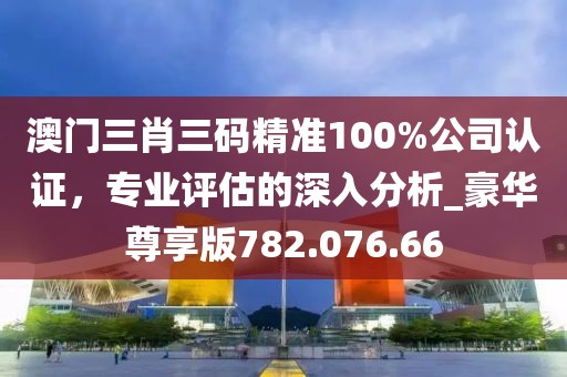 澳门三肖三码精准100%公司认证，专业评估的深入分析_豪华尊享版782.076.66
