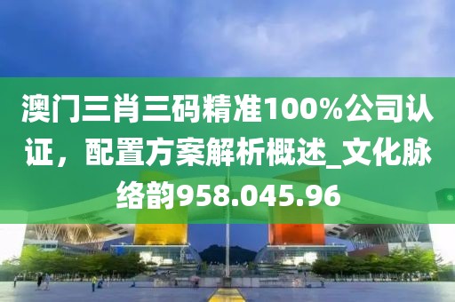 澳门三肖三码精准100%公司认证，配置方案解析概述_文化脉络韵958.045.96