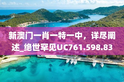 新澳门一肖一特一中，详尽阐述_绝世罕见UC761.598.83