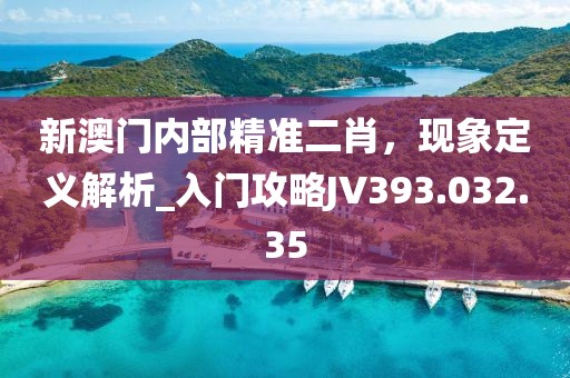 新澳门内部精准二肖，现象定义解析_入门攻略JV393.032.35