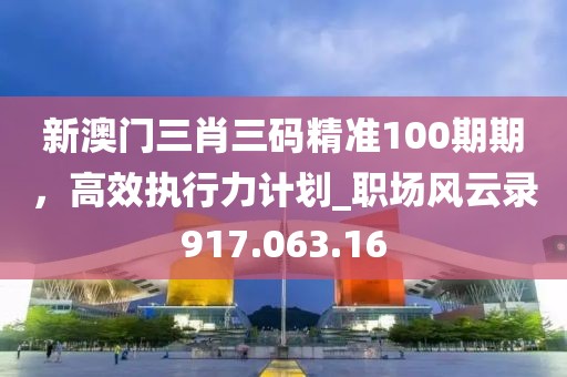 新澳门三肖三码精准100期期，高效执行力计划_职场风云录917.063.16