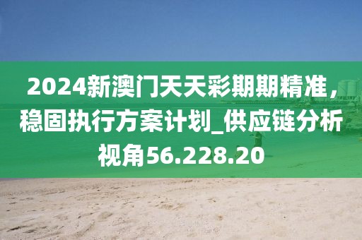 2024新澳门天天彩期期精准，稳固执行方案计划_供应链分析视角56.228.20