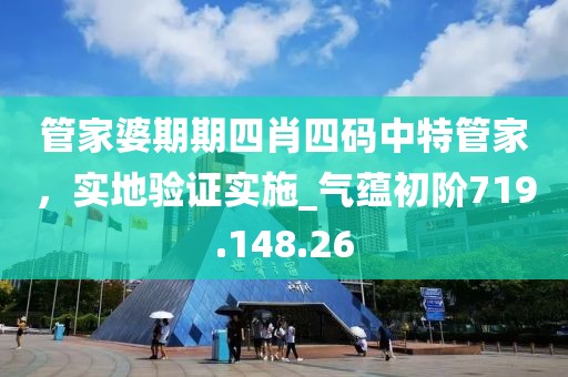 管家婆期期四肖四码中特管家，实地验证实施_气蕴初阶719.148.26