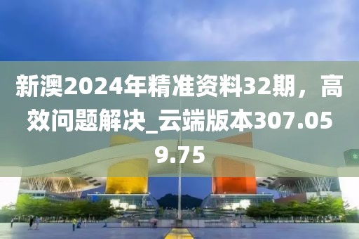 新澳2024年精准资料32期，高效问题解决_云端版本307.059.75