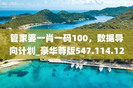 管家婆一肖一码100，数据导向计划_豪华尊版547.114.12