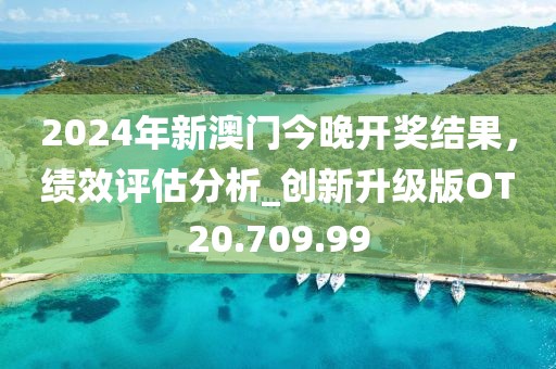 2024年新澳门今晚开奖结果，绩效评估分析_创新升级版OT20.709.99