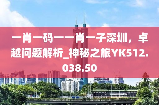 一肖一码一一肖一子深圳，卓越问题解析_神秘之旅YK512.038.50