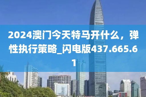 2024澳门今天特马开什么，弹性执行策略_闪电版437.665.61
