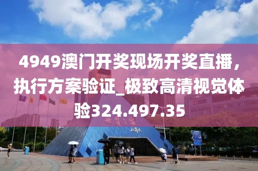 4949澳门开奖现场开奖直播，执行方案验证_极致高清视觉体验324.497.35