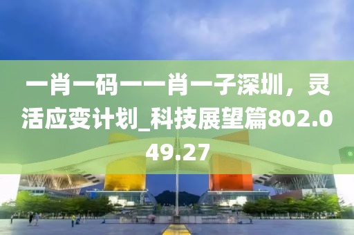 一肖一码一一肖一子深圳，灵活应变计划_科技展望篇802.049.27