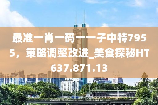 最准一肖一码一一子中特7955，策略调整改进_美食探秘HT637.871.13