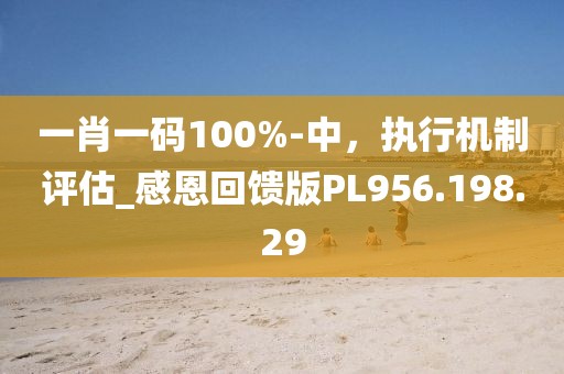 一肖一码100%-中，执行机制评估_感恩回馈版PL956.198.29
