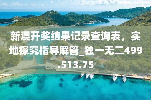 新澳开奖结果记录查询表，实地探究指导解答_独一无二499.513.75