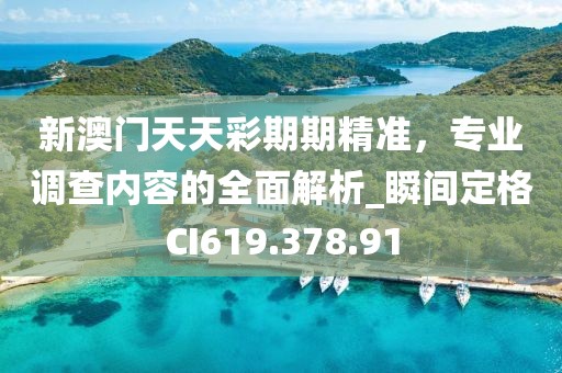 新澳门天天彩期期精准，专业调查内容的全面解析_瞬间定格CI619.378.91
