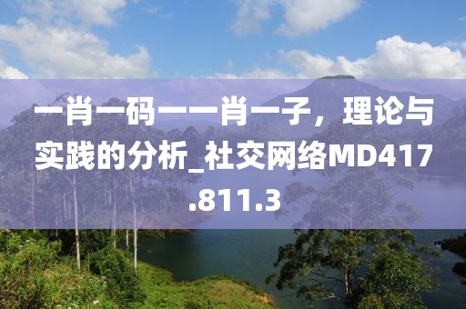 一肖一码一一肖一子，理论与实践的分析_社交网络MD417.811.3