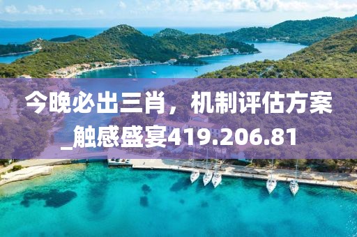 今晚必出三肖，机制评估方案_触感盛宴419.206.81