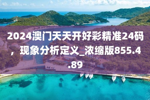 2024澳门天天开好彩精准24码，现象分析定义_浓缩版855.4.89