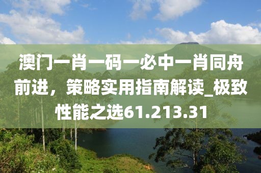 澳门一肖一码一必中一肖同舟前进，策略实用指南解读_极致性能之选61.213.31