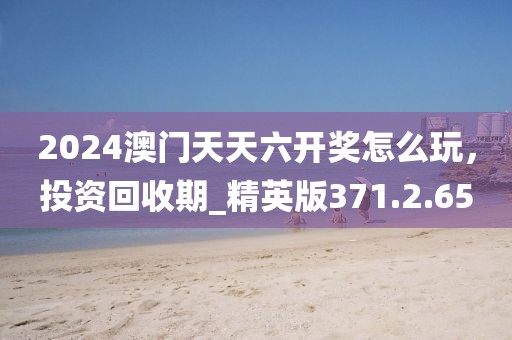 2024澳门天天六开奖怎么玩，投资回收期_精英版371.2.65