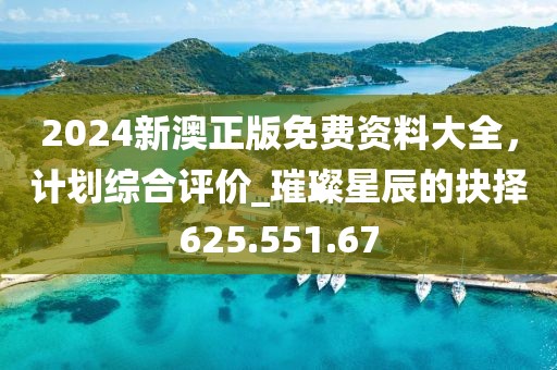 2024新澳正版免费资料大全，计划综合评价_璀璨星辰的抉择625.551.67