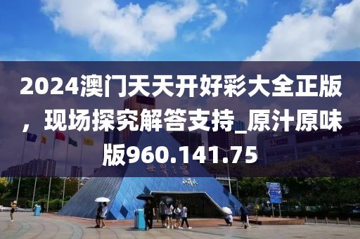 2024澳门天天开好彩大全正版，现场探究解答支持_原汁原味版960.141.75