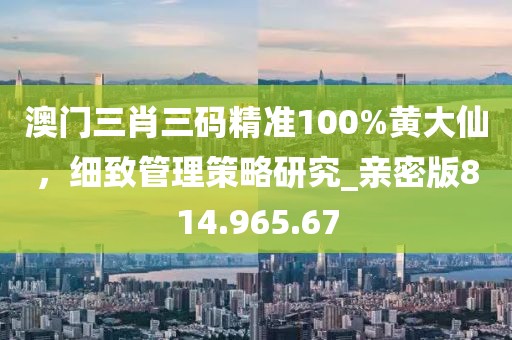 澳门三肖三码精准100%黄大仙，细致管理策略研究_亲密版814.965.67