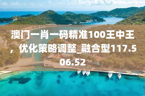 澳门一肖一码精准100王中王，优化策略调整_融合型117.506.52