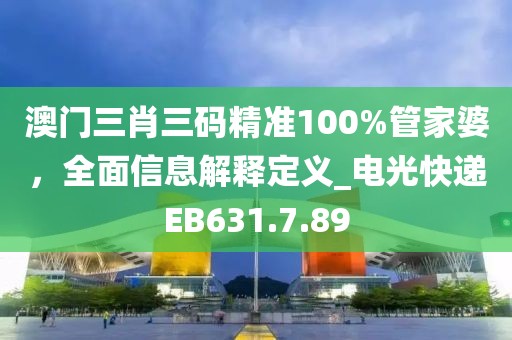 澳门三肖三码精准100%管家婆，全面信息解释定义_电光快递EB631.7.89