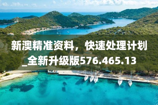 新澳精准资料，快速处理计划_全新升级版576.465.13