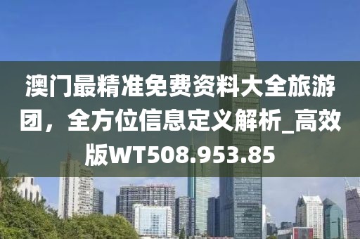 澳门最精准免费资料大全旅游团，全方位信息定义解析_高效版WT508.953.85