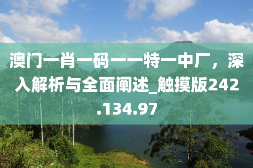 澳门一肖一码一一特一中厂，深入解析与全面阐述_触摸版242.134.97