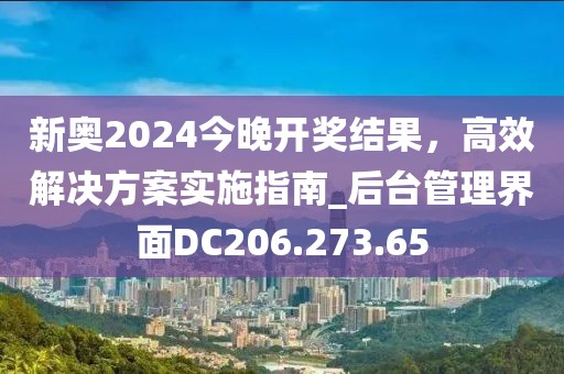 新奥2024今晚开奖结果，高效解决方案实施指南_后台管理界面DC206.273.65