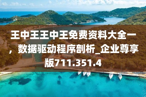 王中王王中王免费资料大全一，数据驱动程序剖析_企业尊享版711.351.4