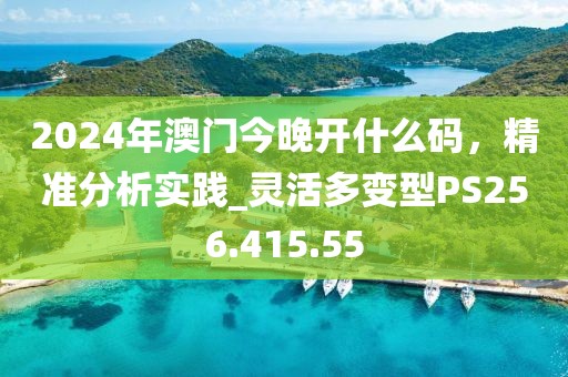 2024年澳门今晚开什么码，精准分析实践_灵活多变型PS256.415.55