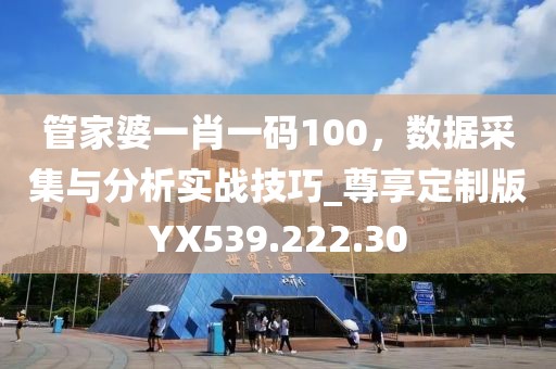 管家婆一肖一码100，数据采集与分析实战技巧_尊享定制版YX539.222.30