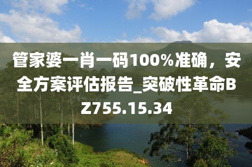 管家婆一肖一码100%准确，安全方案评估报告_突破性革命BZ755.15.34