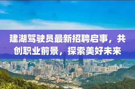 建湖驾驶员最新招聘启事，共创职业前景，探索美好未来