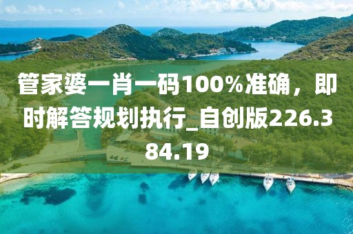 管家婆一肖一码100%准确，即时解答规划执行_自创版226.384.19