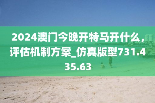 2024澳门今晚开特马开什么，评估机制方案_仿真版型731.435.63