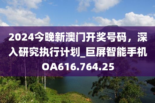 2024今晚新澳门开奖号码，深入研究执行计划_巨屏智能手机OA616.764.25