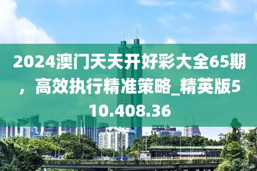 2024澳门天天开好彩大全65期，高效执行精准策略_精英版510.408.36
