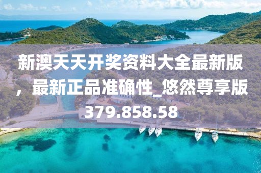 新澳天天开奖资料大全最新版，最新正品准确性_悠然尊享版379.858.58