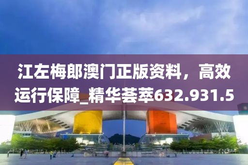 江左梅郎澳门正版资料，高效运行保障_精华荟萃632.931.50