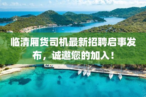临清厢货司机最新招聘启事发布，诚邀您的加入！
